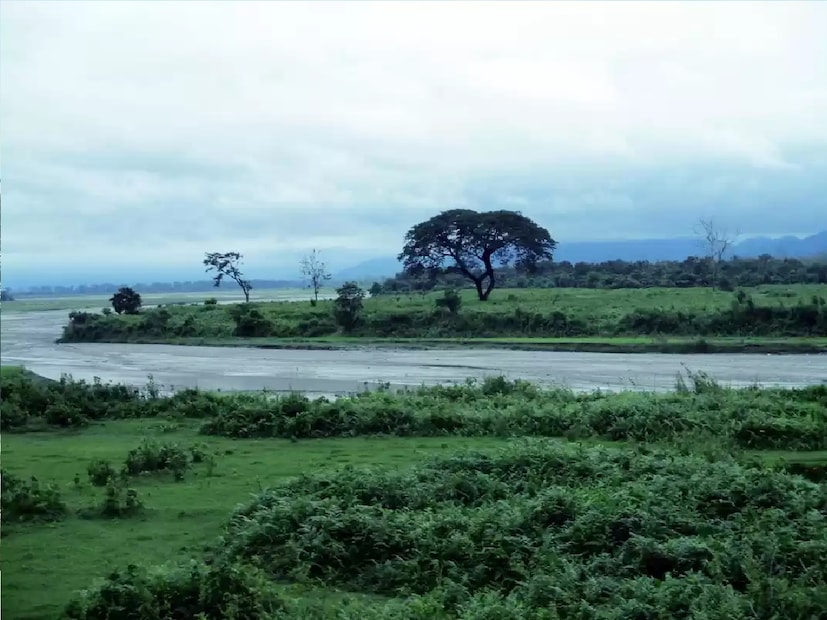 *গ্ৰামে একটা বড় গ্ৰন্থাগার করা হয়েছে।জেলাশাসক আর বিমলা জানিয়েছেন, &quot;শিক্ষাক্ষেত্রে এই গ্রামের ভূমিকা যেমন অনবদ্য থাকবে, তেমনি পর্যটনেও আলাদা মাত্রা যোগ করবে গ্রামটি। এই গ্রামে স্বাক্ষরতার হার কম, সামনে বই থাকলে পড়ার ইচ্ছে জাগবে। একটি গ্রামকে বই দিয়ে সাজিয়ে তুলতে পেরে জেলা প্রশাসন খুশি।&quot; সংগৃহীত ছবি। 