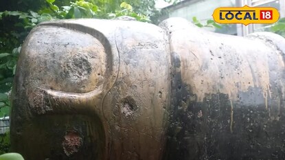 রাজস্থানের বিশেষ কামান, যেটির নাক, কান ও চোখ রয়েছে৷ রাজস্থানের বিশেষ কামান, যেটির নাক, কান ও চোখ রয়েছে৷