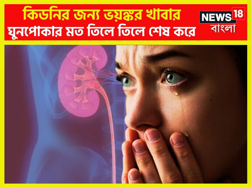 আজকাল কিডনি সংক্রান্ত রোগে অনেকেই আক্রান্ত হচ্ছেন। যার কারণে কিডনি রোগীদের ডায়ালিসিস করতে হচ্ছে। প্রতীকী ছবি ৷