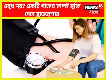 ওষুধ খেতে হবেনা? একটি গাছের ছালই ব্রহ্মাস্ত্র! জলে ফুটিয়ে খেলেই প্রেশার শেষ