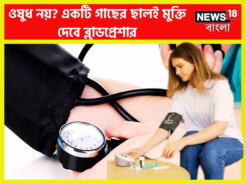 হাই ব্লাডপ্রেশার সাধারণত কম বেশি বহু মানুষের মধ্যে লক্ষ্য করা হয়ে থাকে ৷ এক সময়ে একটি নির্দিষ্ট বয়সের পরে আগে উচ্চ রক্তচাপের সমস্যা হয়ে থাকে ৷ প্রতীকী ছবি ৷