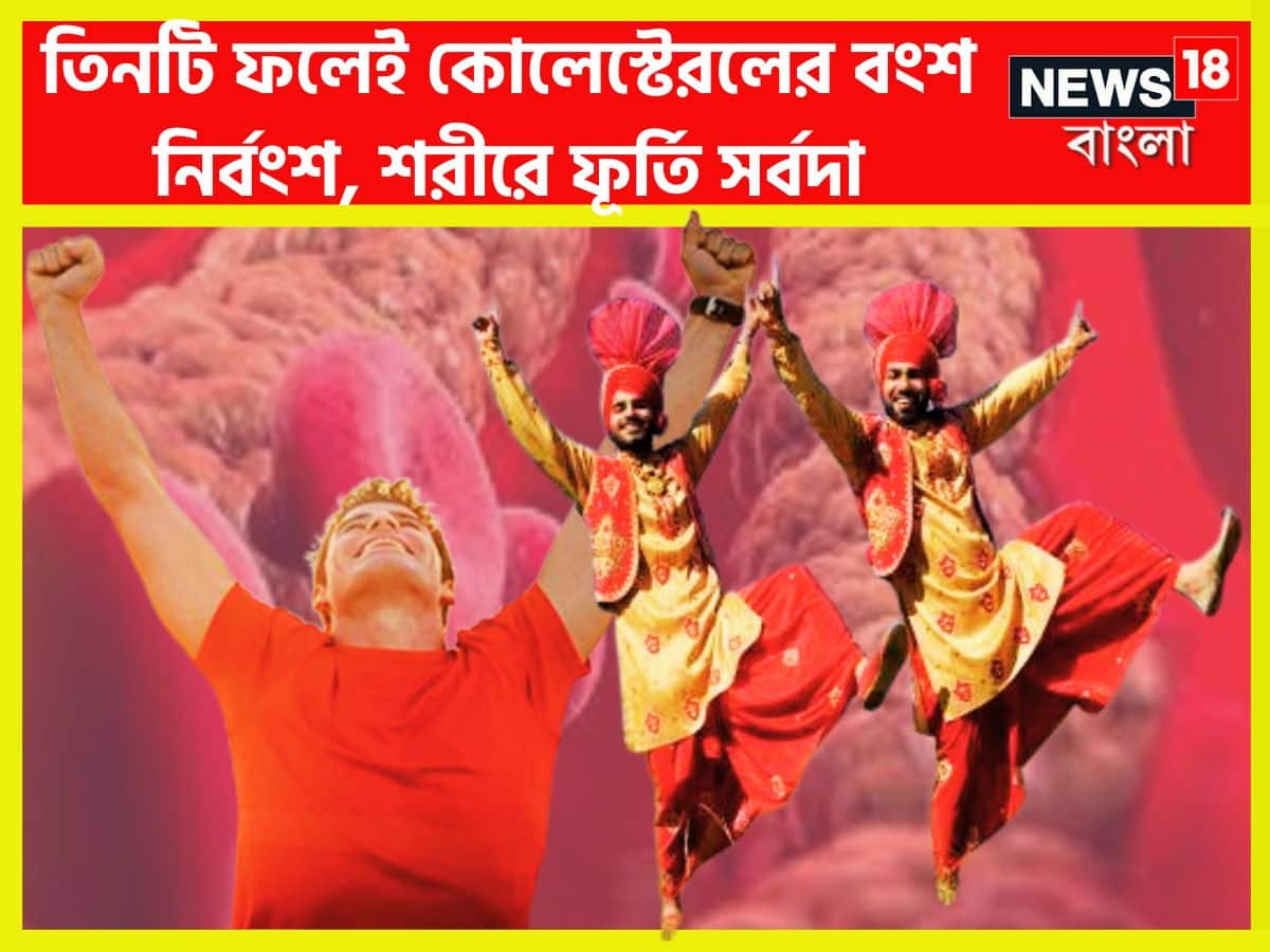 Mushuk ichidan porno video Porno odam ozini sikdi