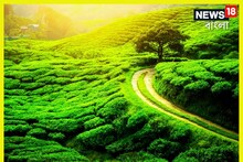 সোমবার পাহাড়ে ১২ ঘণ্টার বন্‌ধ! ধর্মঘটের  ডাক চা শ্রমিক যৌথ সংগঠনের