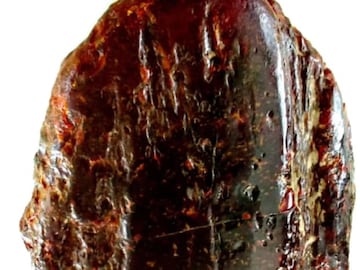 The amber was sent to the Museum of History in Poland. (Photo Credits: Instagram)