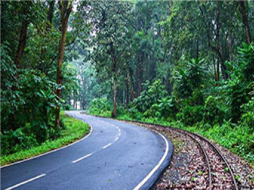প্রকৃতির মাঝে অনবদ্য এই জায়গায় পার্কটি গড়ে উঠলে পর্যটকদের কাছে এই জায়গা যেন এক বাড়তি পাওনা হয়ে দাঁড়াবে। Input- Sujay Ghosh