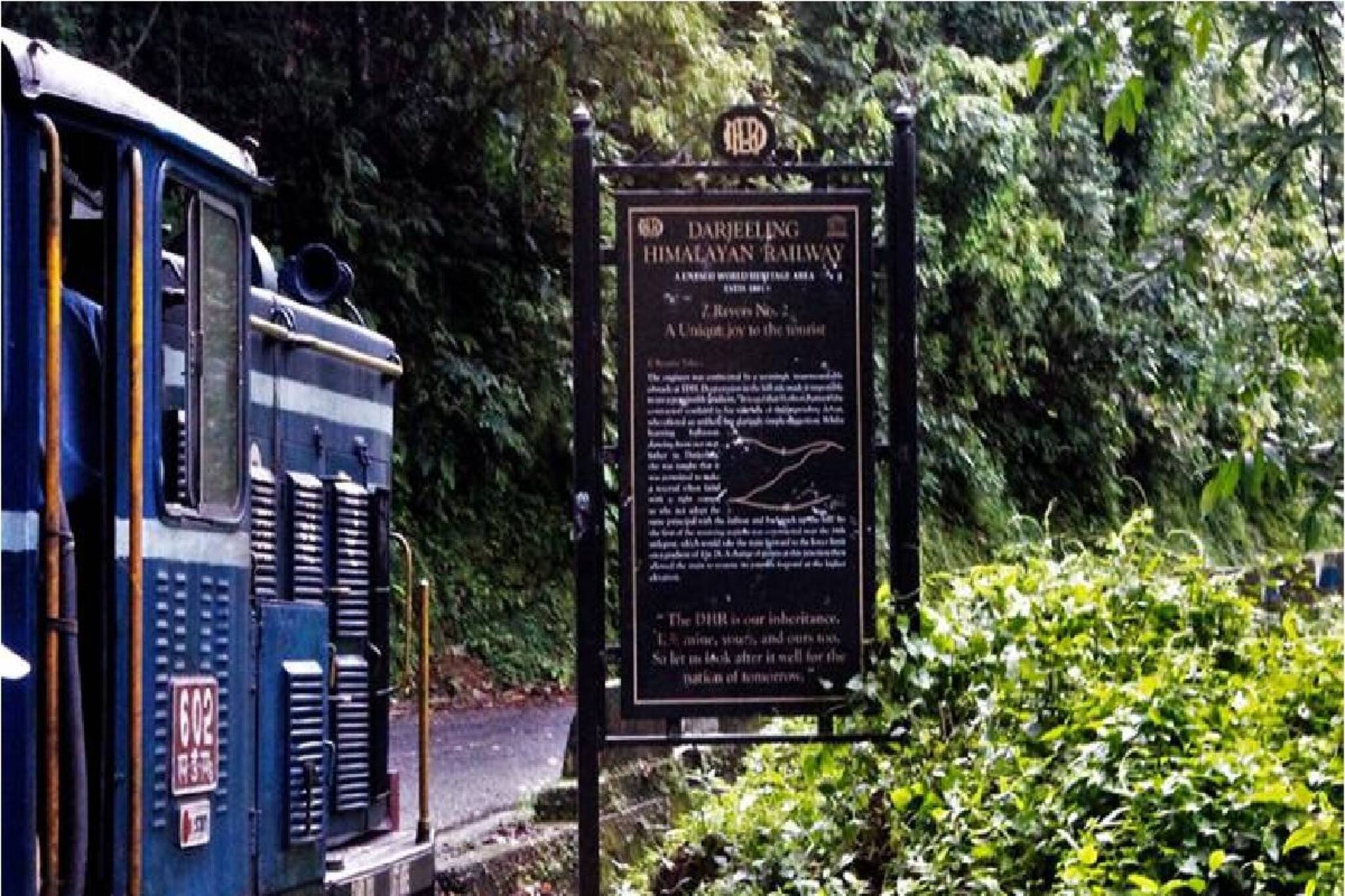 পাইনবনের ফাঁকে টয়ট্রেনের ছোট্ট স্টেশন, নেমে পড়লেই হাতছানি দিয়ে ডাকবে রংটং