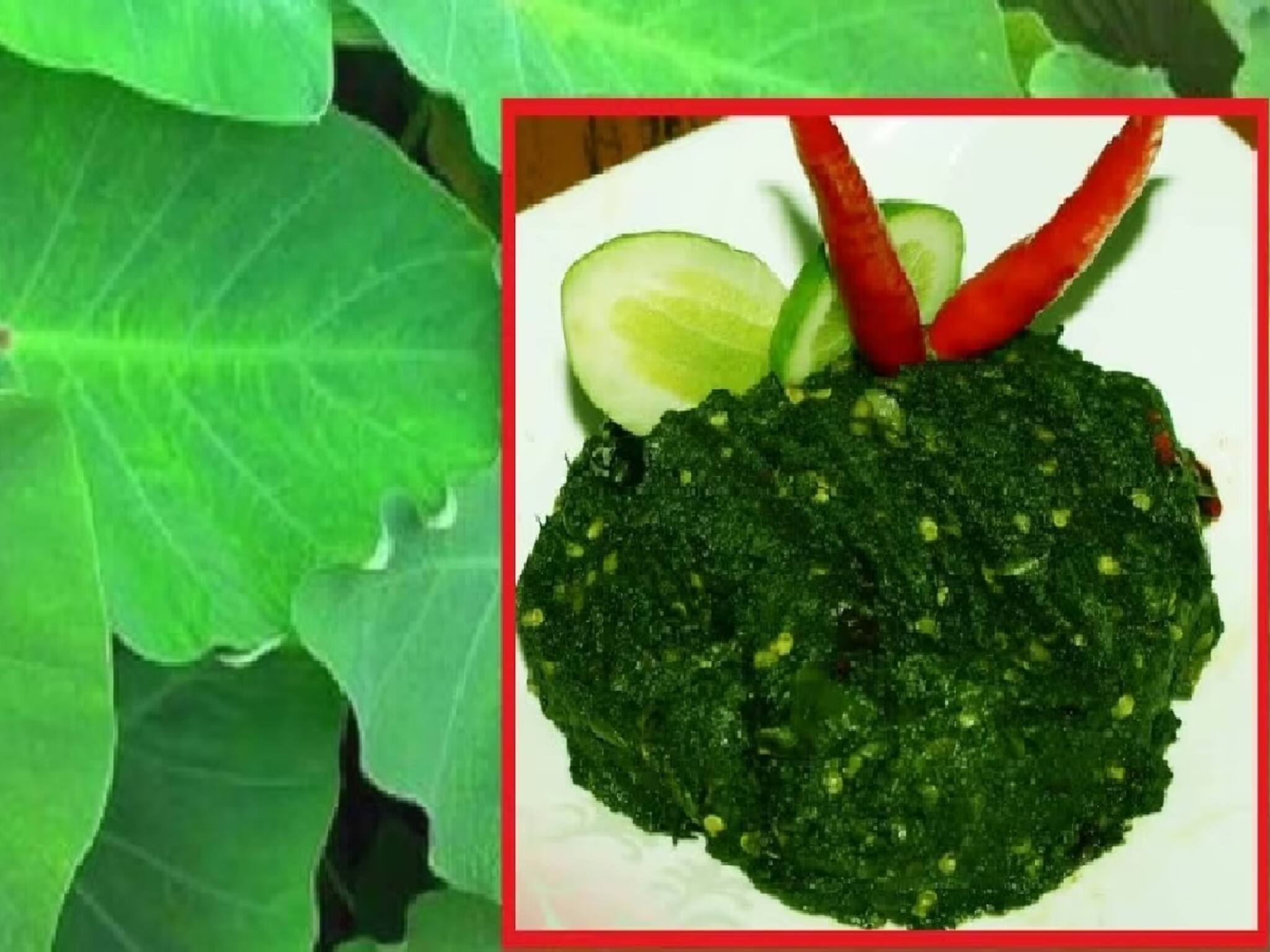 বনে-বাদাড়ে জন্মায়, সস্তার এই শাক ক্যালসিয়াম-আয়রনের খনি! মেয়েরা সপ্তাহে একদিন খান