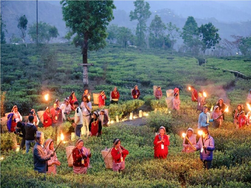 *উত্তরবঙ্গের ডুয়ার্সের চা বাগানের প্রতি বাইরে থেকে আসা পর্যটকদের আকর্ষণ রয়েছে বরাবরই। তাই এবার সেই আকর্ষণ বাড়াতে চা বাগানের ভেতরেই পর্যটকদের রাত যাপন-সহ নানা নয়া উদ্যোগ নিল বেশ কয়েকটি চা বাগান মালিক কর্তৃপক্ষ। সংগৃহীত ছবি। 