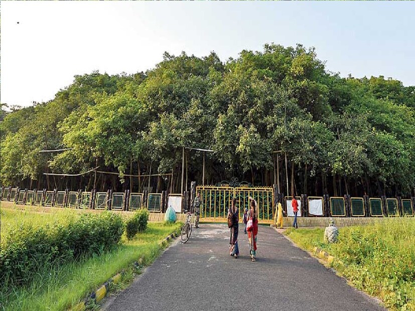 *কেন এমনটি ঘটল, এই খবর কতটা সত্যি। তা নিয়ে যেমন সাধারণ মানুষ উদ্বিগ্ন। সাধারণ মানুষের মনে নানা প্রশ্ন ঘোরাফেরা করছে। একই সঙ্গে , সে বিষয়ে সম্পূর্ণ তথ্য সংগ্রহ করতে ইতিমধ্যেই প্রস্তুতি নিচ্ছে আচার্য জগদীশচন্দ্র বসু উদ্ভিদ উদ্যান কর্তৃপক্ষ। সংগৃহীত ছবি। 