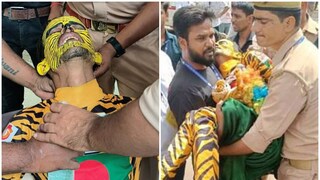 Photo Source: Collected