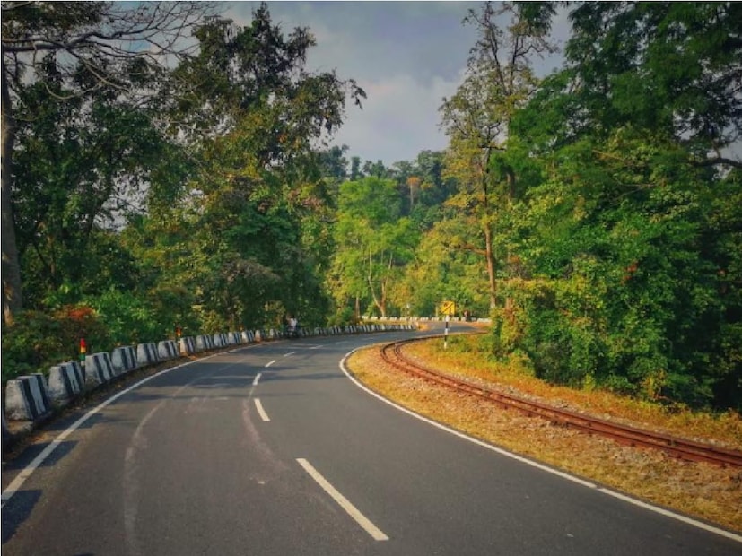 আপনিও যদি এখনো পর্যন্ত এই জায়গায় না গিয়ে থাকেন তাহলে অবশ্যই এই পুজোর ছুটিতে যদি আপনি দার্জিলিং ঘুরতে আসার প্ল্যান করে থাকেন তাহলে একবার ঘুরে যান প্রকৃতির মাঝে অপরূপ সুন্দর এই তিনধারিয়া থেকে। পাহাড়ি রাস্তা হয়ে আপনি দার্জিলিং যাবার সময় দেখতে পাবেন ঐতিহ্যবাহী টয় ট্রেন এর পাশাপাশি থাকবে মেঘের কোলে বসে চা খাওয়ার আনন্দ। Input-  Sujoy Ghosh