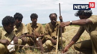 অস্তিত্বের সংকটের মুখে দাঁড়িয়ে ইরুলা উপজাতি