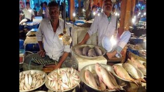 সস্তায় পাতে ইলিশ-চিংড়ি! সস্তায় পাতে ইলিশ-চিংড়ি!