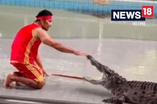 স্টান্ট দেখাতে গিয়ে ভয়ঙ্কর হাল! হিংস্র প্রাণীর আক্রমণে যা হল, দেখুন ভিডিয়ো