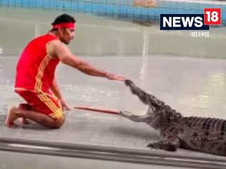 স্টান্ট দেখাতে গিয়ে ভয়ঙ্কর হাল! হিংস্র প্রাণীর আক্রমণ আহত স্টান্টম্যান, দেখুন ভিডিয়ো