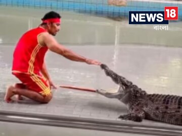 স্টান্ট দেখাতে গিয়ে ভয়ঙ্কর হাল! হিংস্র প্রাণীর আক্রমণ আহত স্টান্টম্যান, দেখুন ভিডিয়ো
