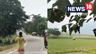 জঙ্গল ছেড়ে রাস্তায় গন্ডার, তাড়া করে পিষে মারল একজনকে! দেখুন সেই ভিডিয়ো 
image - (Screengrab)