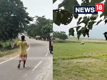 জঙ্গল ছেড়ে রাস্তায় গন্ডার, তাড়া করে পিষে মারল একজনকে! দেখুন সেই ভিডিয়ো 
image - (Screengrab)