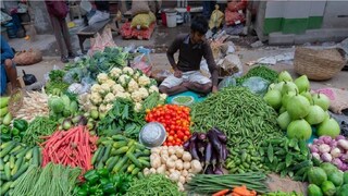 চাষিদের কথায় কমবেশি প্রত্যেক সবজি চাষির ক্ষতি হয়েছে। যে পরিমাণ ফলন হওয়ার কথা, তার অধিকাংশ জমিতেই নষ্ট হয়ে গিয়েছে। স্বভাবতই দুর্গা পুজোর আগে ফাঁকা যাচ্ছে পাইকারি সবজি বাজার। বৃষ্টিপাতের জেরে বর্তমান পরিস্থিতি বেশ খারাপ। দীপঙ্কর দাস নামের এক আড়তদার জানিয়েছেন, "সবজি বেশি থাকলে অনেক সুবিধা হয়, পাইকাররা আসে।কিন্তু এবছর সবজির আমদানি নেই। বাইরের পাইকাররাও কম আসছে। " চাষিদের কথায় কমবেশি প্রত্যেক সবজি চাষির ক্ষতি হয়েছে। যে পরিমাণ ফলন হওয়ার কথা, তার অধিকাংশ জমিতেই নষ্ট হয়ে গিয়েছে। স্বভাবতই দুর্গা পুজোর আগে ফাঁকা যাচ্ছে পাইকারি সবজি বাজার। বৃষ্টিপাতের জেরে বর্তমান পরিস্থিতি বেশ খারাপ। দীপঙ্কর দাস নামের এক আড়তদার জানিয়েছেন, "সবজি বেশি থাকলে অনেক সুবিধা হয়, পাইকাররা আসে।কিন্তু এবছর সবজির আমদানি নেই। বাইরের পাইকাররাও কম আসছে। "
