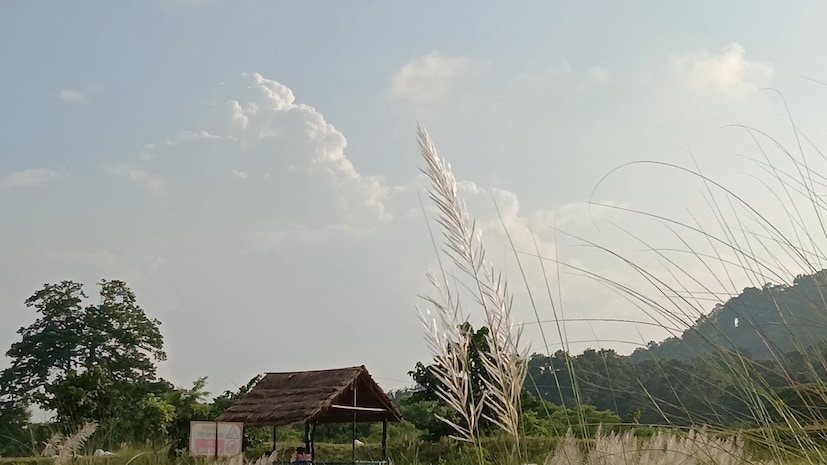 এই ইকোপার্ক গুলি একদম প্রকৃতির মাঝে হওয়ায় পর্যটকেরা এই জায়গা গুলি খুব পছন্দ করছে। ফলে নিত্যদিন প্রচুর পর্যটকের ভিড় জমছে এই জায়গাগুলিতে। 