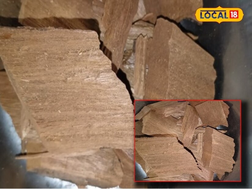 ডায়াবেটিস রোগীদের এটি সেবন করা উচিত। কারণ এটি দ্রুত ডায়াবেটিস নিয়ন্ত্রণ করে। এটি শরীরে রক্তের ঘাটতি দূর করে। আর ডায়রিয়ার মতো গুরুতর সমস্যা নিরাময়েও তা সহায়ক। ডা. সরফরাজ আহমেদ বলেন যে, এটি ত্বক সংক্রান্ত সমস্যা দ্রুত নিরাময় করে এবং ত্বককে উজ্জ্বল করতেও কাজ করে। এছাড়া পেটে থাকা কৃমি দূর করে পেটের সমস্যা দূর করে এই বিজয়সার। এমনকী, সবচেয়ে গুরুতর লিভারের সমস্যা দূর করতেও এটি অত্যন্ত উপকারী।