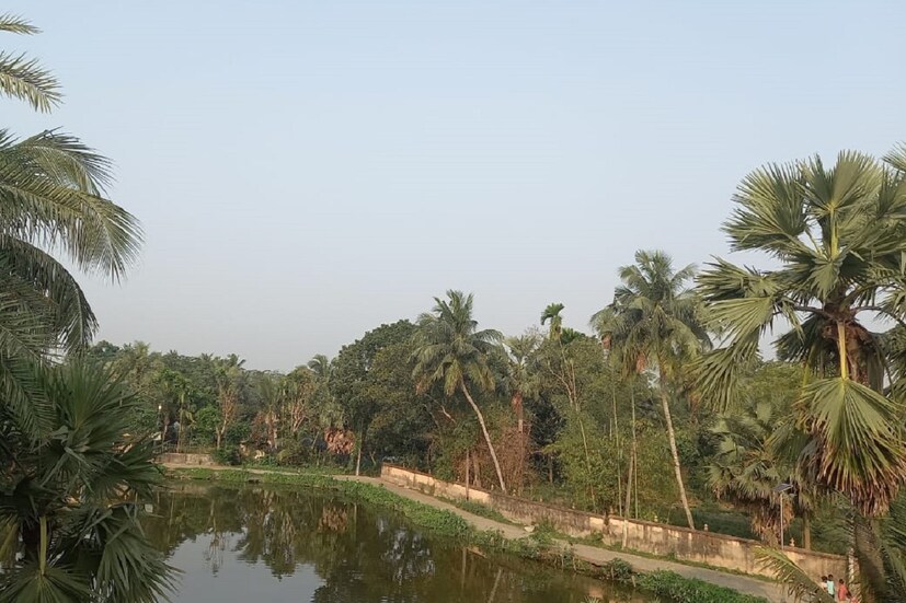আজ, বৃহস্পতিবার কলকাতায় সর্বনিম্ন তাপমাত্রা ২৭.৬ ডিগ্রি সেলসিয়াস। যা স্বাভাবিক তাপমাত্রার থেকে ১.৩ ডিগ্রি সেলসিয়াস বেশি। গতকাল, বুধবার সর্বোচ্চ তাপমাত্রা ছিল ৩৩.৫ ডিগ্রি সেলসিয়াস। যা স্বাভাবিক তাপমাত্রার থেকে ১.১ ডিগ্রি সেলসিয়াস বেশি। বাতাসে জলীয় বাষ্পের পরিমাণ ৬১ থেকে ৯১ শতাংশ। আগামী ২৪ ঘণ্টায় কলকাতা শহরে তাপমাত্রা থাকবে ২৮ থেকে ৩৪ ডিগ্রি সেলসিয়াসের মধ্যে। বৃষ্টি হয়েছে সামান্য ১.৯ মিলিমিটার।