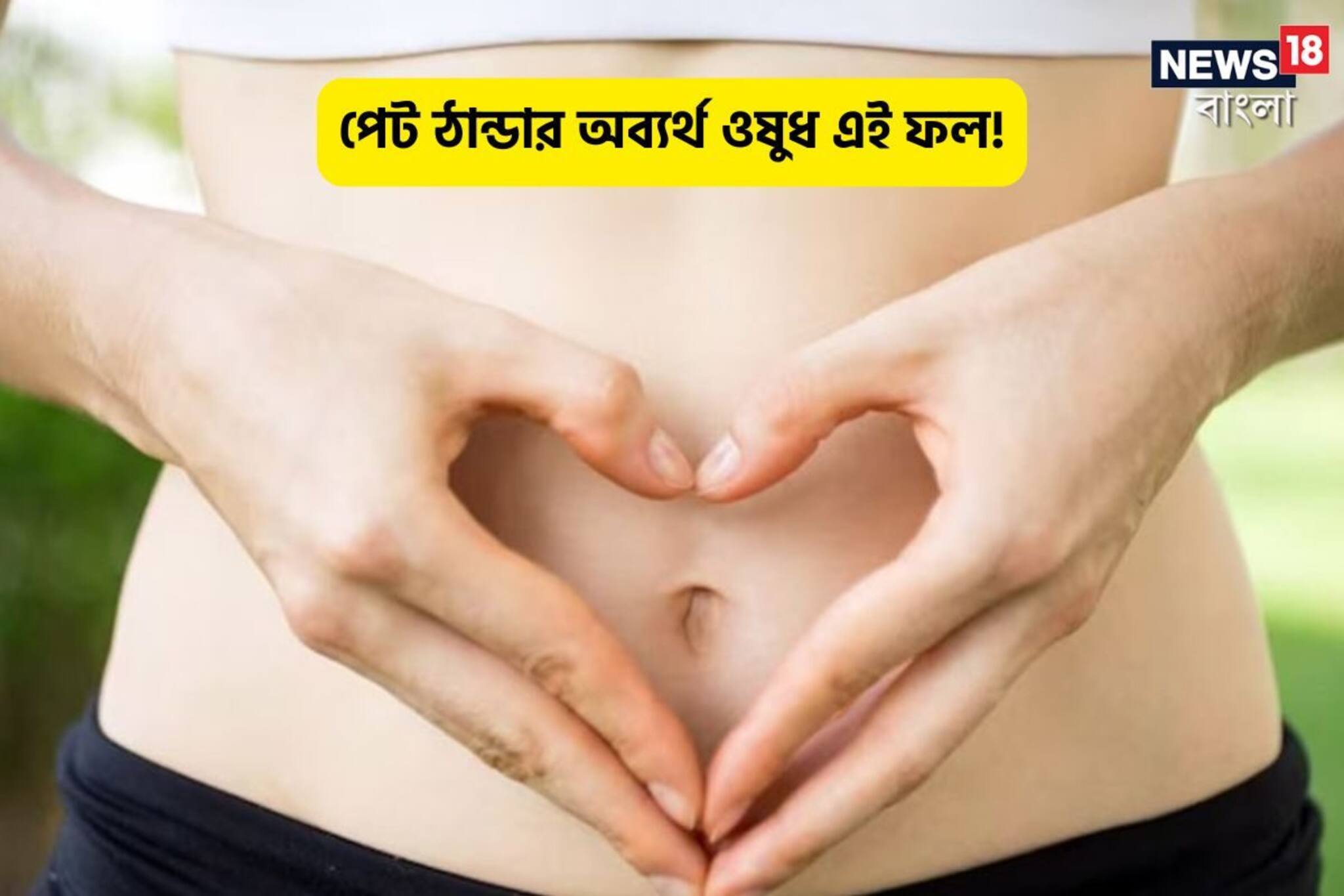 পেট ঠান্ডা করতে অব্যর্থ ফল! চিবিয়ে না খেতে পারলে লস্যি করে খান, রোগ হবে ছুমন্তর