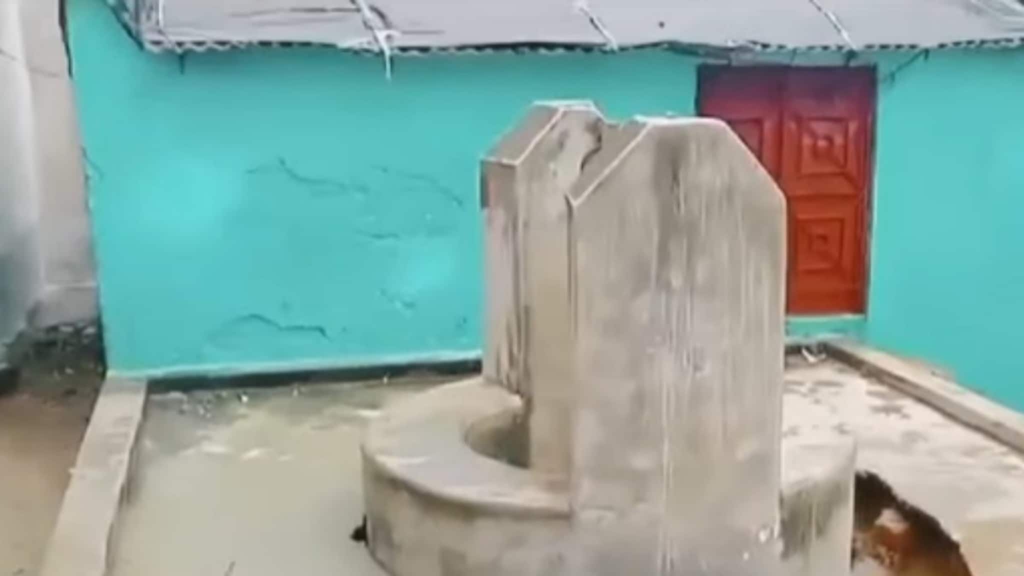 Viral Video: এই বাড়িতে হঠাৎ যা ঘটল! ভিডিও না দেখলে বিশ্বাস করতে পারবেন না