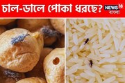 চাল-ডালে পোকা ধরেছে? কৌটোয় রাখুন এই 'একটা' জিনিস! পোকার বংশ থাকবে না