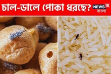 চাল-ডালে পোকা ধরেছে? কৌটোয় রাখুন এই 'একটা' জিনিস! পোকার বংশ থাকবে না