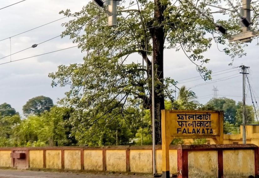 প্রথমত, বলে রাখা ভাল আলোক বর্ণালিতে তরঙ্গদৈর্ঘ্যের দিক থেকে হলুদ রং তৃতীয় স্থানে রয়েছে। সবুজ ও কমলার মাঝখানে। লাল রঙের তরঙ্গদৈর্ঘ্য সবচেয়ে বেশি। অনেক দূর থেকে এই রং দেখা যায়। তাই সিগন্যালে বা বিপদ সঙ্কেত দেওয়ার সময়ে, লাল রঙেরই ব্যবহার হয়। 