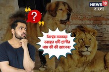বাঘ বা সিংহ নয়! বিশ্বের সবচেয়ে ভয়ঙ্কর ৫টি প্রাণীর নাম কী কী জানেন?
