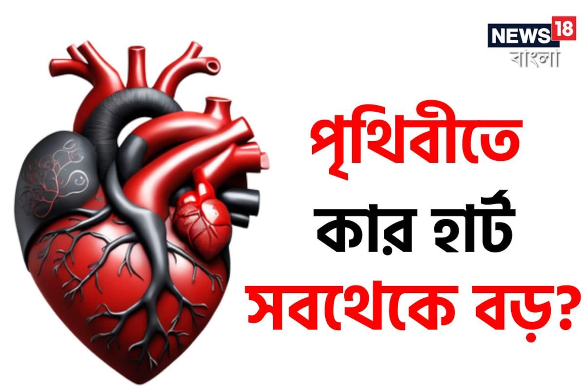বলুন তো, পৃথিবীতে কার হার্ট সবথেকে বড়? ওজন ও আকার জানলে চমকে যাবেন
