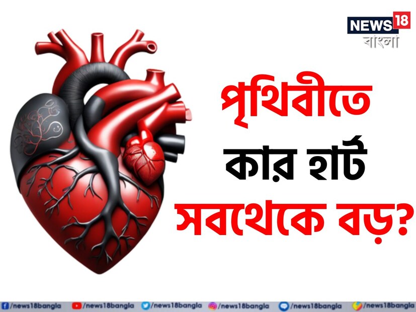 আমাদের পৃথিবীতে কোন প্রাণীর হৃদপিণ্ড সবথেকে বড়? ওজন ও আকার জানলে চমকে যাবেন। এশ্নের উত্তর দিতে গিয়ে কিন্তু হোঁচট খেয়েছেন অনেকেই। এবার আপনার পালা।