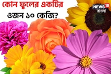 একটি ফুলের ওজন ১০ কেজি! এটিই বিশ্বের সবথেকে বড়-ভারী ফুল, নাম জানলে আপনি জিনিয়াস