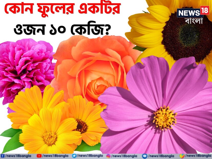 বলুন তো, বিশ্বের সবথেকে বড় ও ভারী ফুলের নাম কী? যার ওজন ও আকার জানলে রীতিমত আঁতকে উঠবেন আপনি। এই প্রশ্নের উত্তর কিন্তু অনেকের কাছে অজানা।