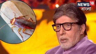 কাছ থেকে বিপদ প্রত্যক্ষ করেছেন। কিন্তু একটি প্রাণীকে দেখলেই এখনও আতঙ্কে শিউরে ওঠেন বিগ বি! সেটি আর কিছুই নয়, আরশোলা!