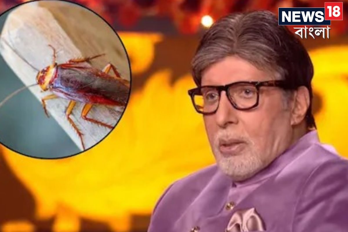 ‘আরশোলার মৃত্যু নেই…!’ জীবনের কোন ব্যক্তিগত মুহূর্তের কথা বলে ফেললেন অমিতাভ? ‘আরশোলার মৃত্যু নেই…!’ জীবনের কোন ব্যক্তিগত মুহূর্তের কথা বলে ফেললেন অমিতাভ?