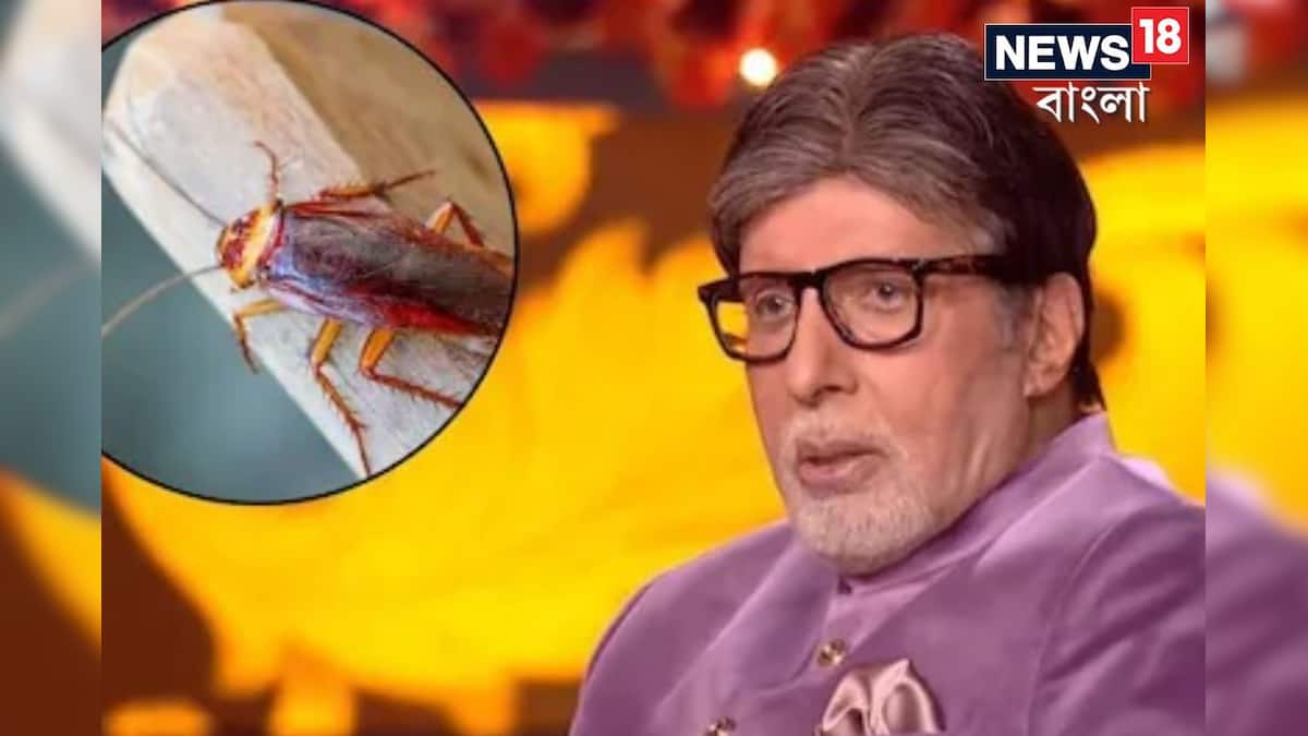 ‘আরশোলার মৃত্যু নেই…!’ জীবনের কোন ব্যক্তিগত মুহূর্তের কথা বলে ফেললেন অমিতাভ?