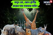বলুন তো, কোন প্রাণীর রক্তের দাম সবচেয়ে বেশি?৯৯ শতাংশই উত্তর দিতে গিয়ে ডাহা ফেল