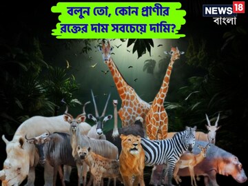 বলুন তো, কোন প্রাণীর রক্তের দাম সবচেয়ে বেশি?৯৯ শতাংশই উত্তর দিতে গিয়ে ডাহা ফেল