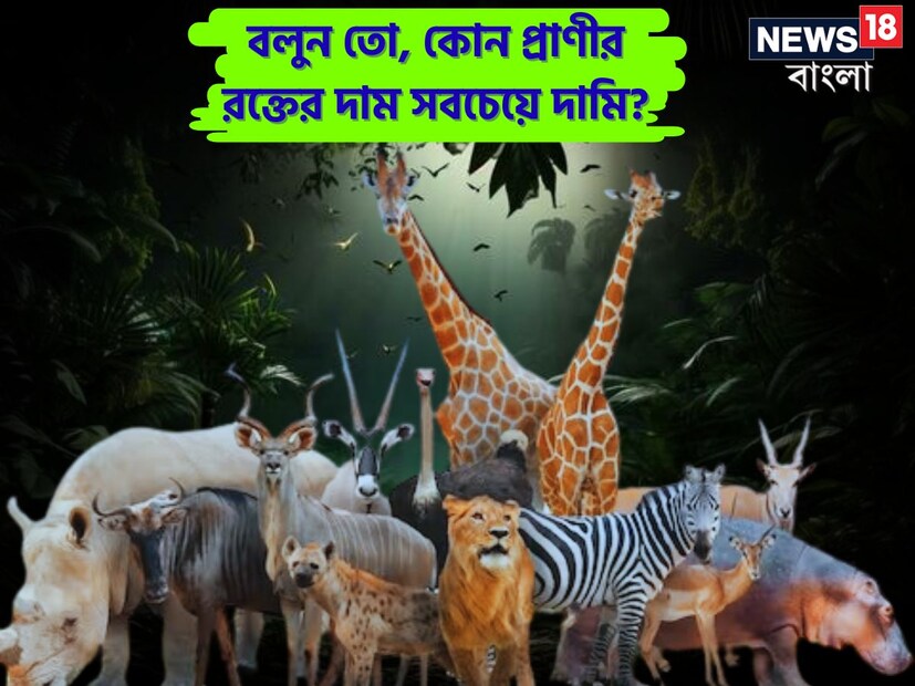 পৃথিবীতে এমন অনেক প্রাণী আছে যাদের সম্পর্কে মানুষের কাছে তথ্য অনেক কম আছে। কিন্তু অনেক সময় মানুষের জীবন এই প্রাণীর উপর নির্ভর করে। এমন একটি প্রাণী আছে যার রক্ত ​​এই পৃথিবীতে সবচেয়ে দামি। কিন্তু বেশিরভাগ মানুষই এই প্রশ্নের উত্তর দিতে গিয়ে হিমশিম খাচ্ছেন৷