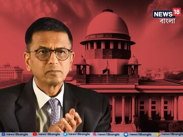 ‘এটা কোনও রাজনৈতিক প্ল্যাটফর্ম নয়’, আইনজীবীদের 'ধমক' ক্ষুব্ধ বিচারপতির! ‘মুখ্যমন্ত্রীর পদত্যাগের দাবি’ উঠতেই কড়া সুর