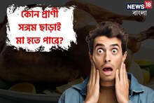 যৌন সম্পর্কে লিপ্ত না হয়েই মা হতে পারে কোন প্রাণী? উত্তর অজানা ৯৯ শতাংশের