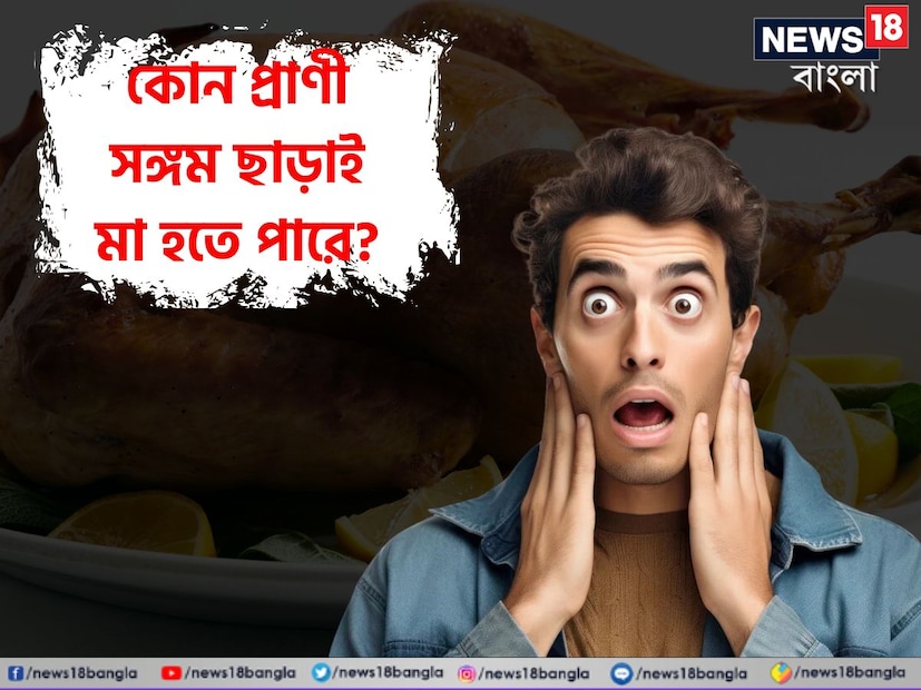 বলুন তো দেখি, যৌন সম্পর্কে লিপ্ত না হয়েই মা হতে পারে কোন প্রাণী? এর উত্তর দিতে ব্যর্থ হয়েছেন ৯৯ শতাংশ মানুষ। কিন্তু একটু বুদ্ধি খাটালেই এর উত্তর দেওয়া সম্ভব।