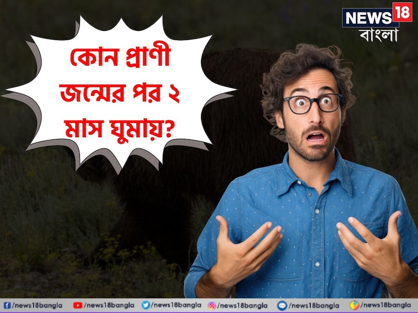 বলুন তো দেখি কোন প্রাণী জন্মের পর থেকে টানা ২ মাস ঘুমিয়ে কাটায়? তারপর চোখ মেলে পৃথিবীর আলো দেখে। এই প্রশ্নের উত্তর দিতে গিয়ে ব্যর্থ হয়েছেন অনেকেই।