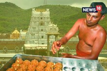 তিরুপতি মন্দিরের প্রসাদের লাড্ডুতে পশু চর্বি? তুমুল বিতর্ক, মামলা সুপ্রিম কোর্টে