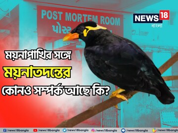 ‘Post Mortem-এর বাংলা ‘ময়নাতদন্ত’ কেন? ময়নার সঙ্গে মৃত্যুর সম্পর্ক? জানুন