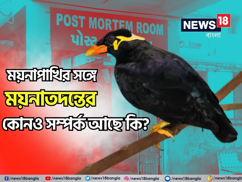 যে কোনও রহস্য এবং অপরাধের সঙ্গে জড়িয়ে আছে ‘পোস্টমর্টেম’ (Post Mortem) শব্দটি৷ পুলিশ এবং গোয়েন্দাদের তদন্তের অন্যতম ভরসা পোস্টমর্টেম৷ এই পরীক্ষায় অনেকটাই স্পষ্ট হয় মৃত্যুর কারণ৷