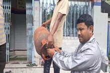 একদিনেই শেষ রান্নার গ্যাস, সিলিন্ডারের ভিতরে এ কী ভরা? দেখতে গিয়ে তাজ্জব গ্রাহক